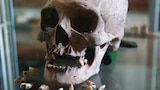 Fósil misterioso de Madagascar