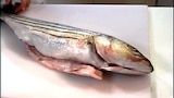 Hook, Line and Dinner
