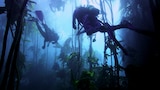 Deep Sea Encounters