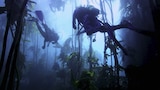 Deep Sea Encounters