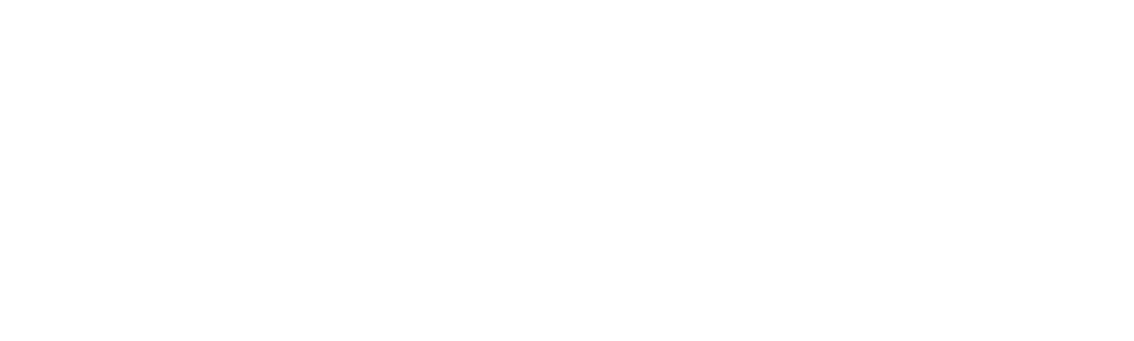 Property Brothers