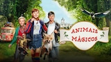 Animais Mágicos