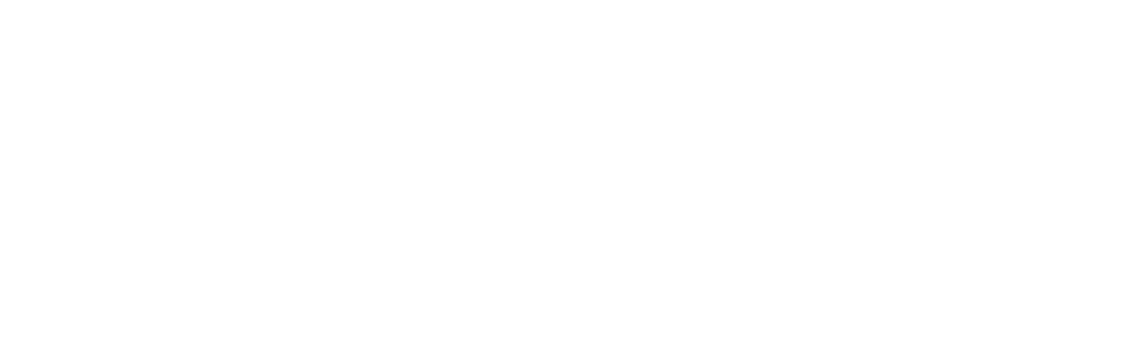 Brink of Disaster