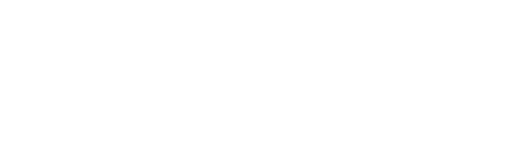 Red Magnolia: una mirada al futuro