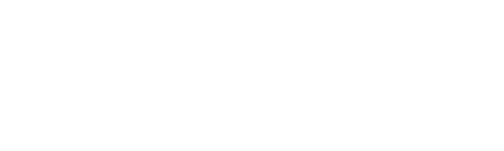Magnolia Network: Um Olhar Adiante