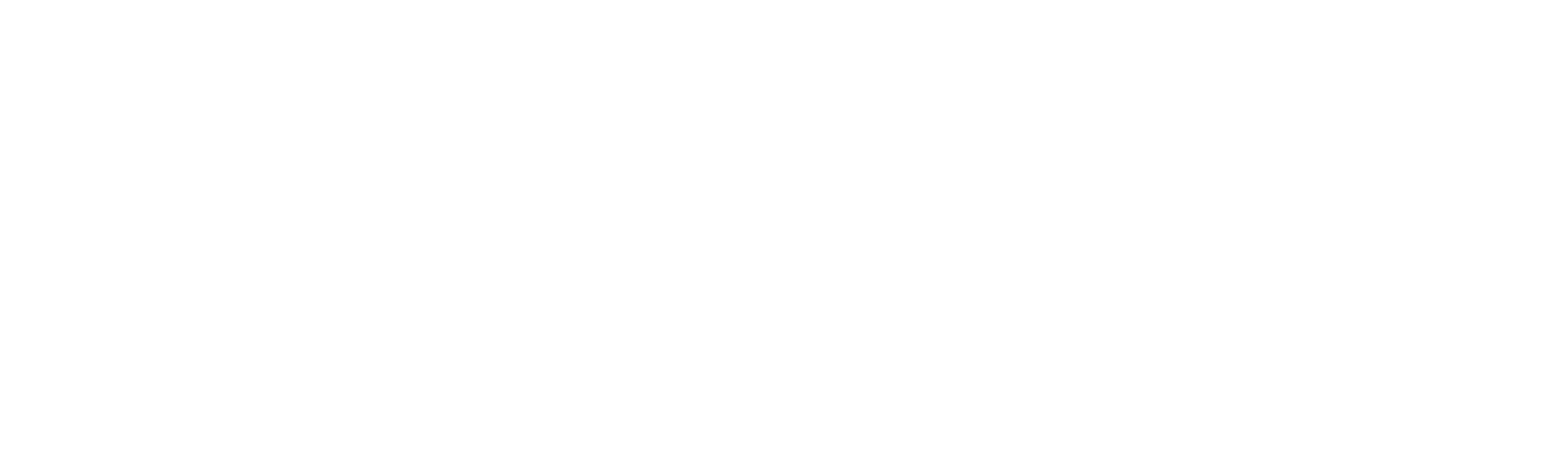 Magnolia Network: Um Olhar Adiante