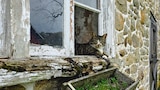 Saving a 1717 Spring House