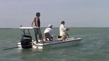 South Florida
