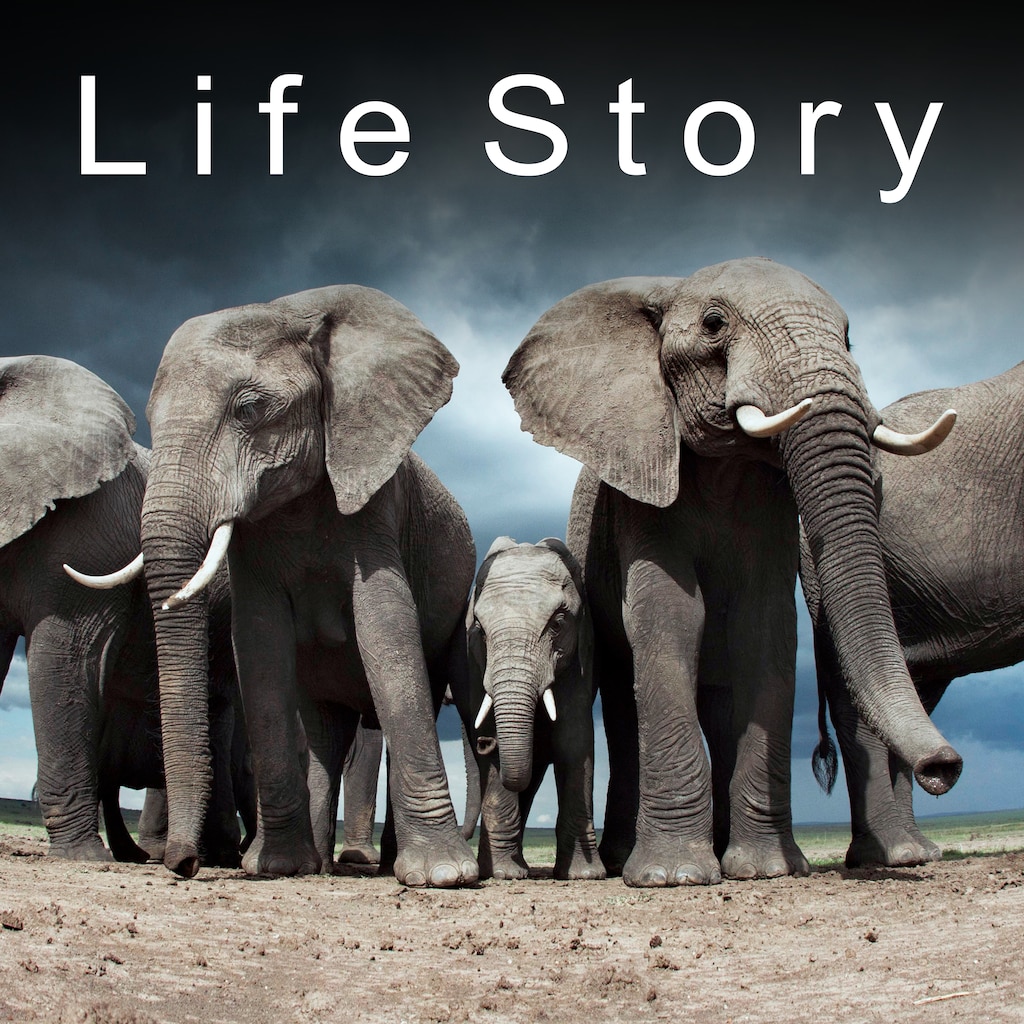 Life Story