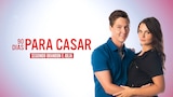 90 Dias Para Casar – Seguindo Brandon e Julia