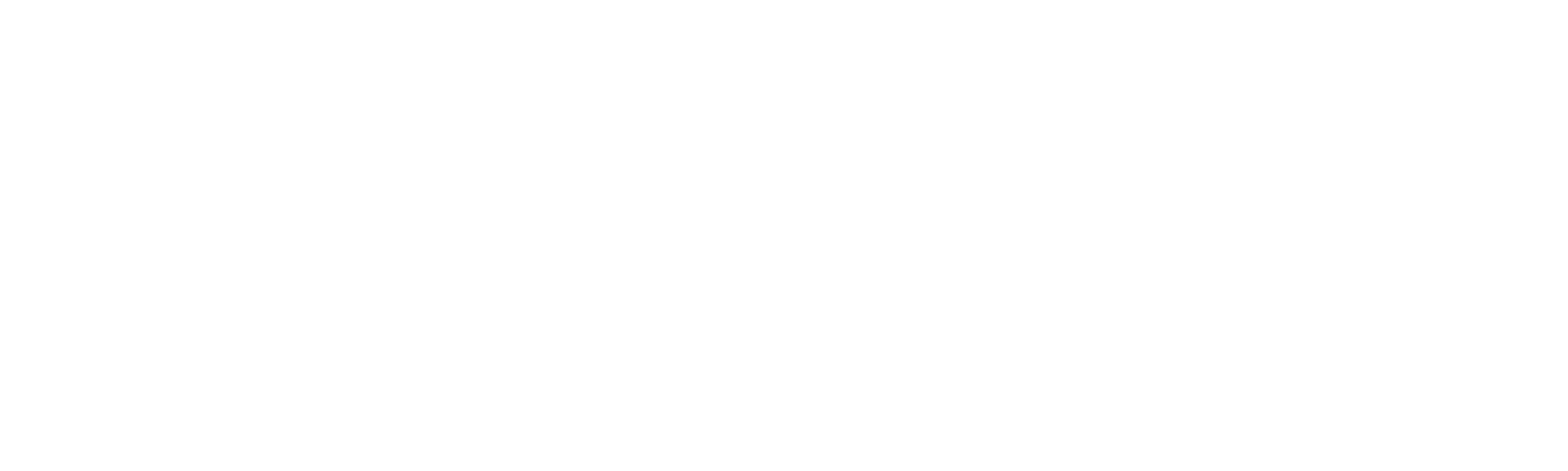 Todo en 90 días: Brandon y Julia