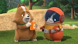 Scrappy Campers