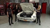 Mustang Adventures