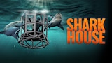 Shark House