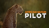 African Safari Pilot
