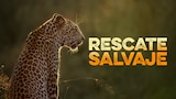 Rescate salvaje
