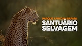 Parque Africam Safari: Santuário Selvagem