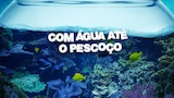Com Água Até o Pescoço