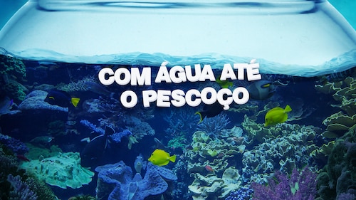 Assista Com Água Até o Pescoço Temporada 2 Episódio 1 - Peixe Fora D ...