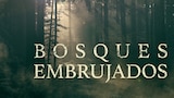 Bosques embrujados