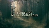 Florestas Mal-Assombradas