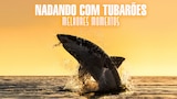 Nadando com Tubarões: Melhores Momentos