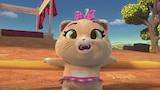 A Game For the Buffycats