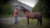 Homestead Heartache