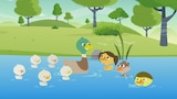 Seco hasta bajo el agua
