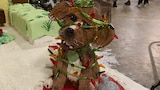 Critter Christmas