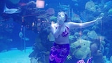 Brett Takes a Dive