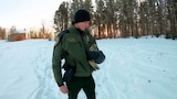 Wild Winter