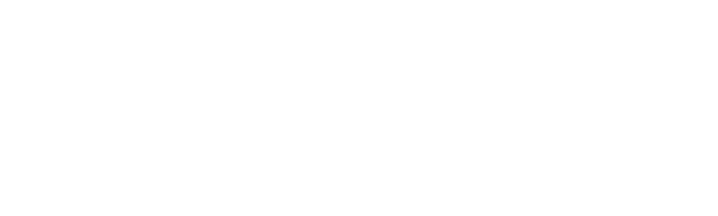 Brothers Take New Orleans