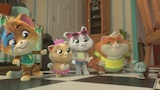Mice on the Run!