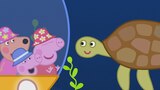 The Great Barrier Reef
