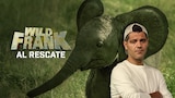 Wild Frank: Al rescate