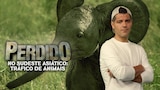 Perdido no Sudeste Asiático: Tráfico de Animais