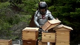 Bird and the Bees
