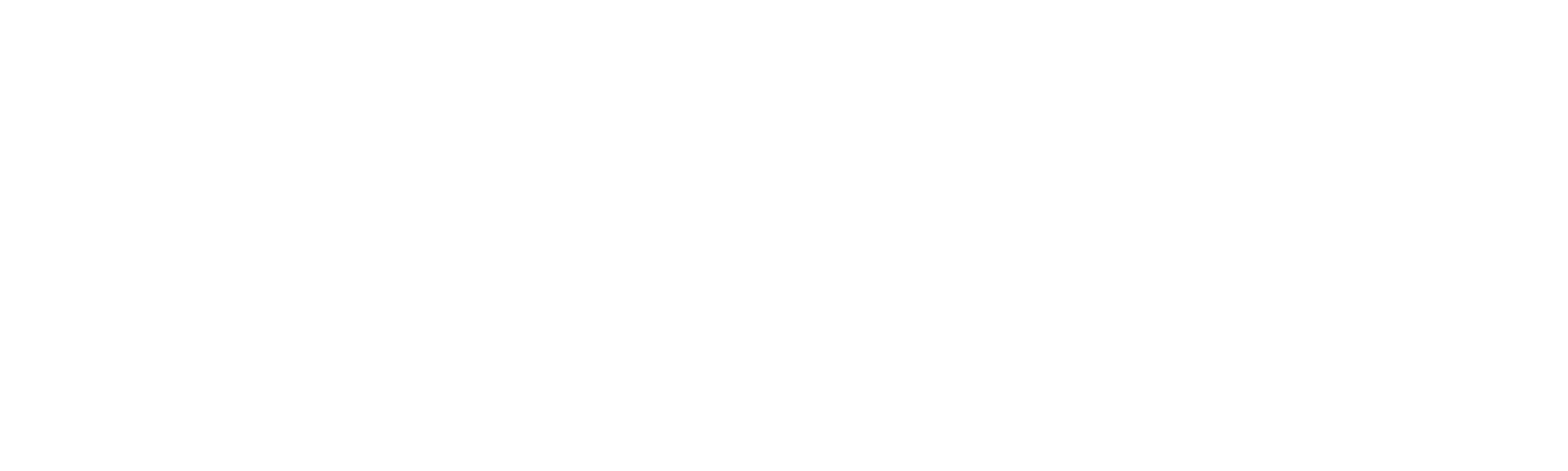 Todo en 90 días: Molly y Luis