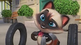 Whisker Twister