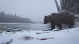 Alaska - Last American Frontier