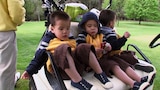 Boys' Day Out