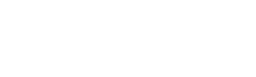 Race for the White House