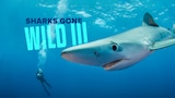 Sharks Gone Wild 3