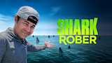 Shark Rober