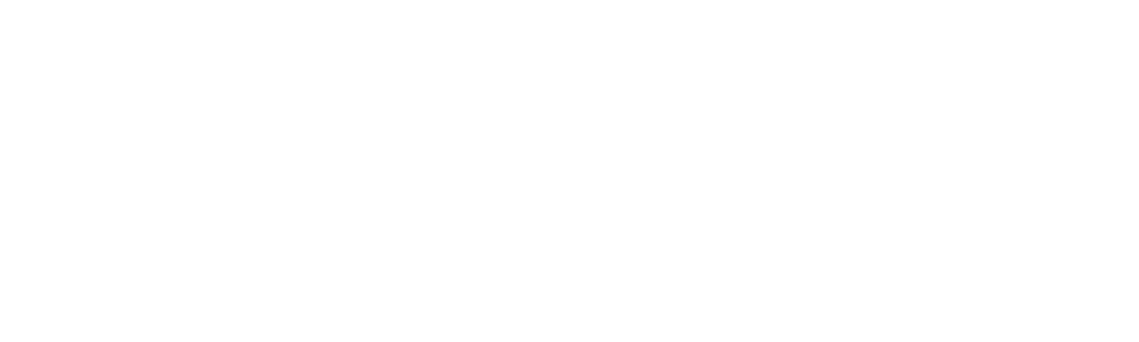 Conductor en fuga