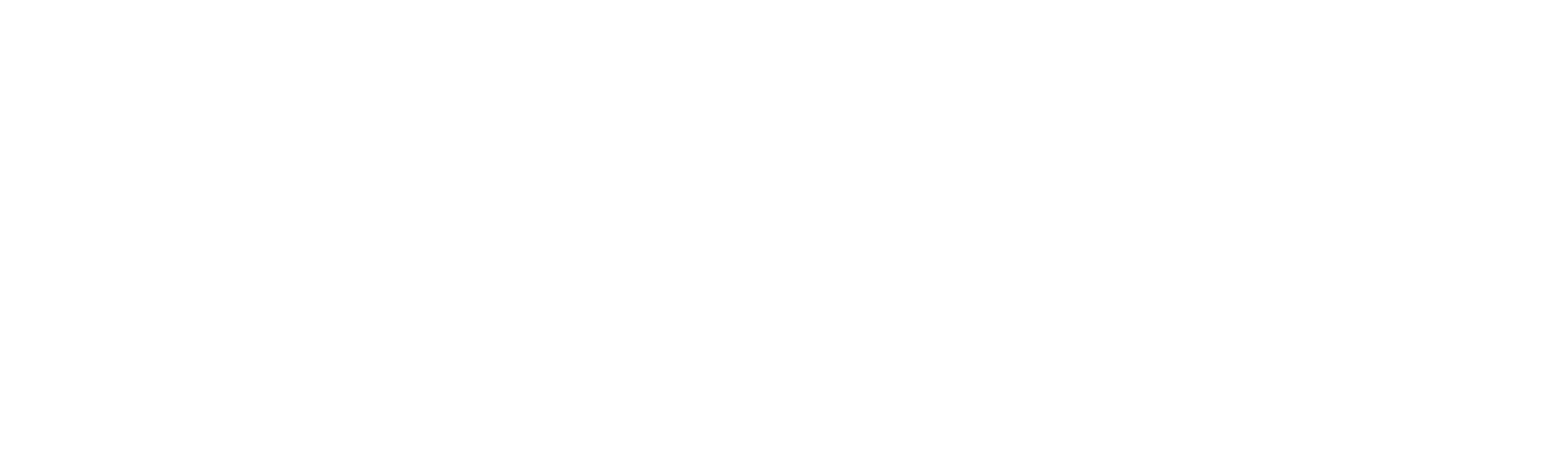 Conductor en fuga