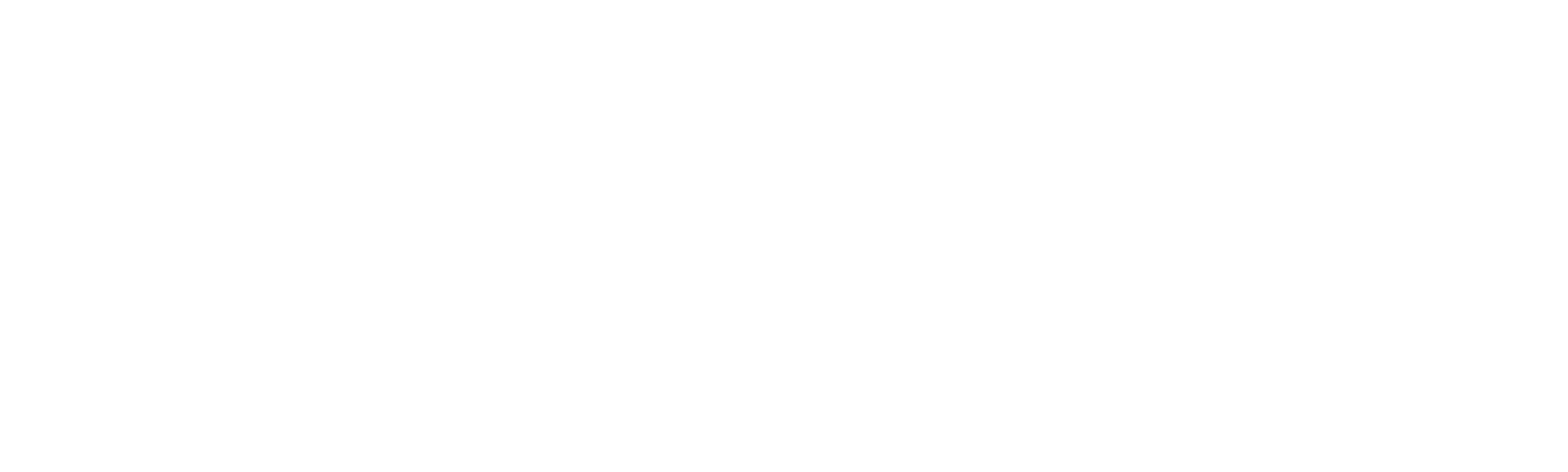 Dra. Sandra Lee: A Rainha dos Cravos