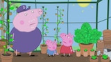Grandpa Pig’s Greenhouse