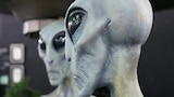 Area 52